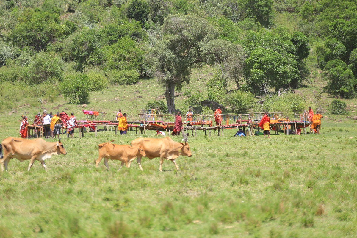 Maasai Mara