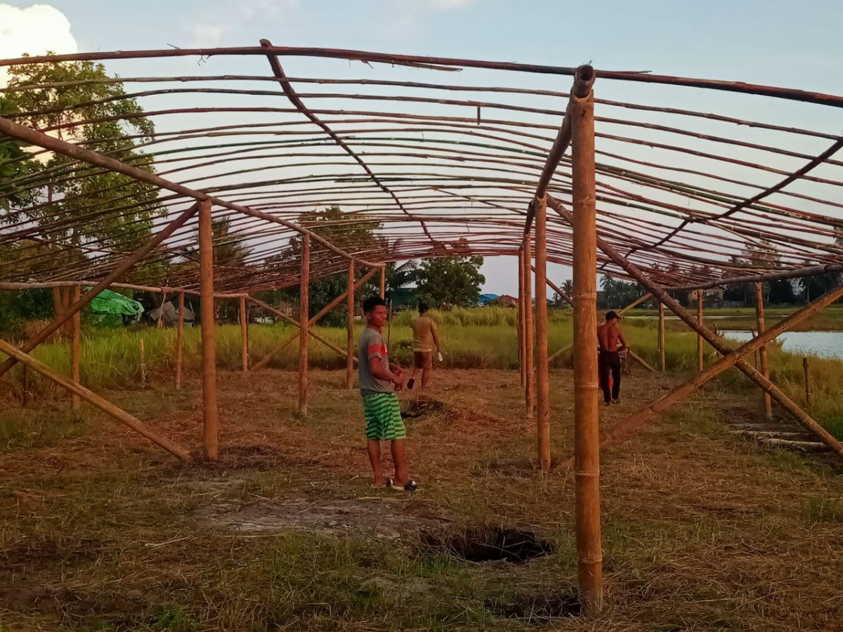 Mangrove nursery