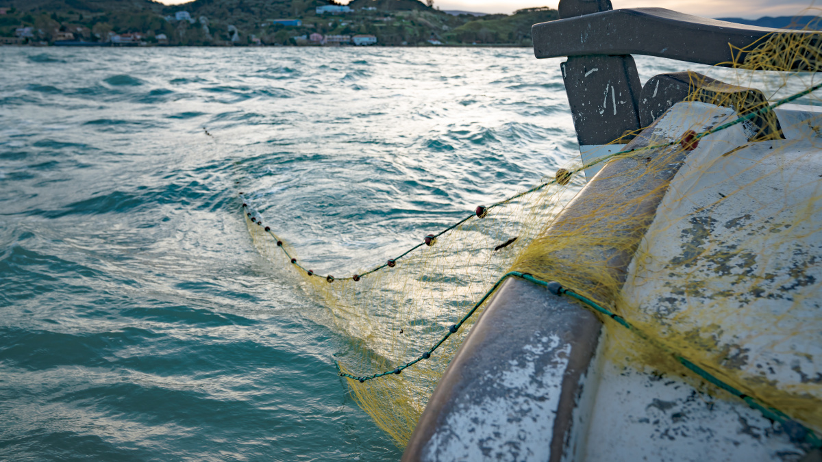 Greece Zakyntos fisheries