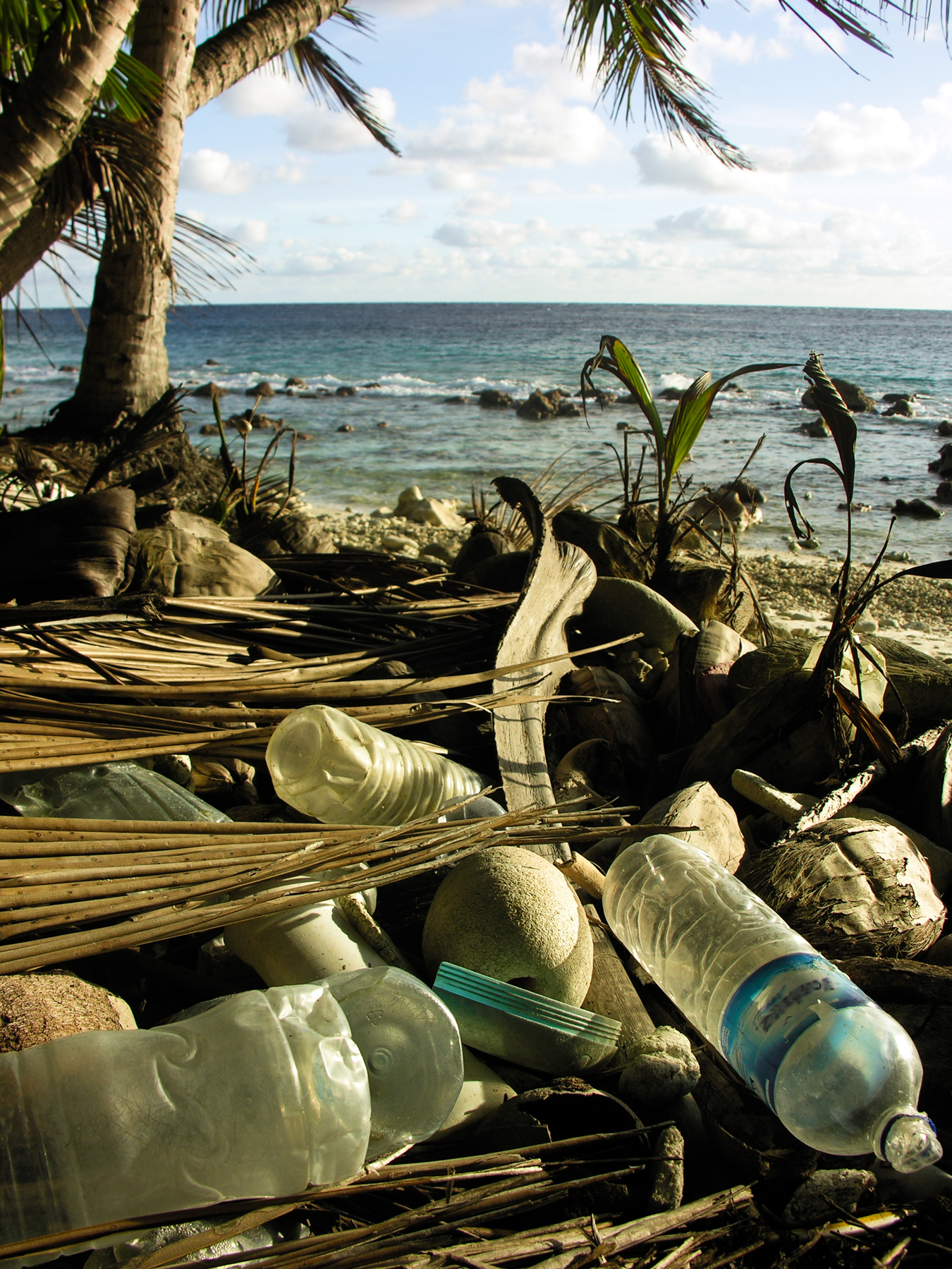 An estimated 260 billion tons of plastic are currently polluting the oceans.