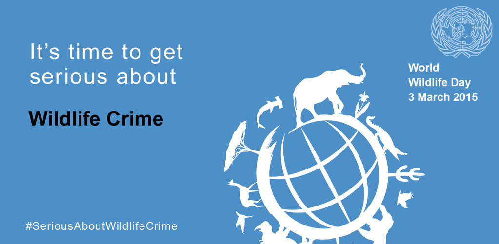 Serious about wildlife crime
