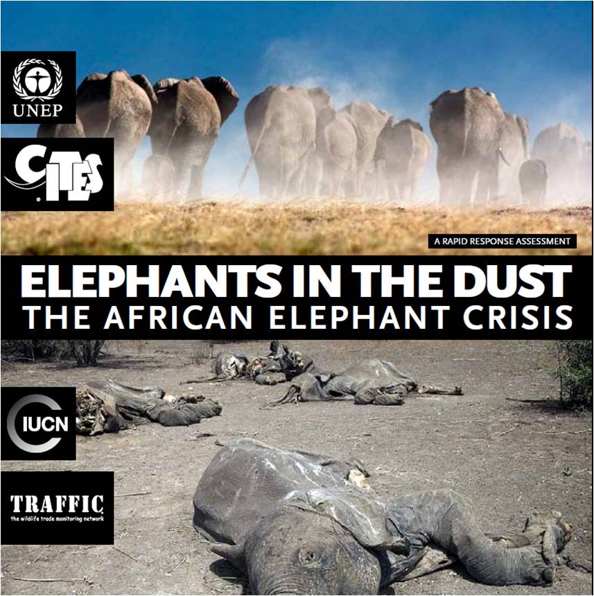 Elephants in the Dust – The African Elephant Crisis