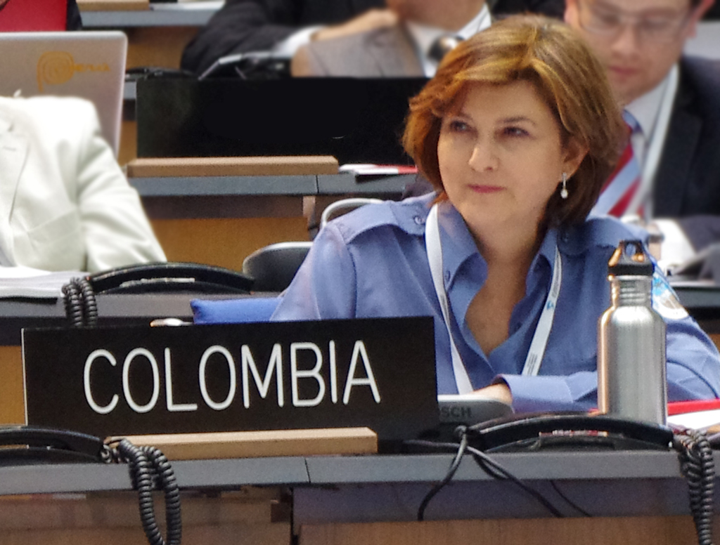Julia Miranda at the 39th World Heritage Committee meeting, June 2015
