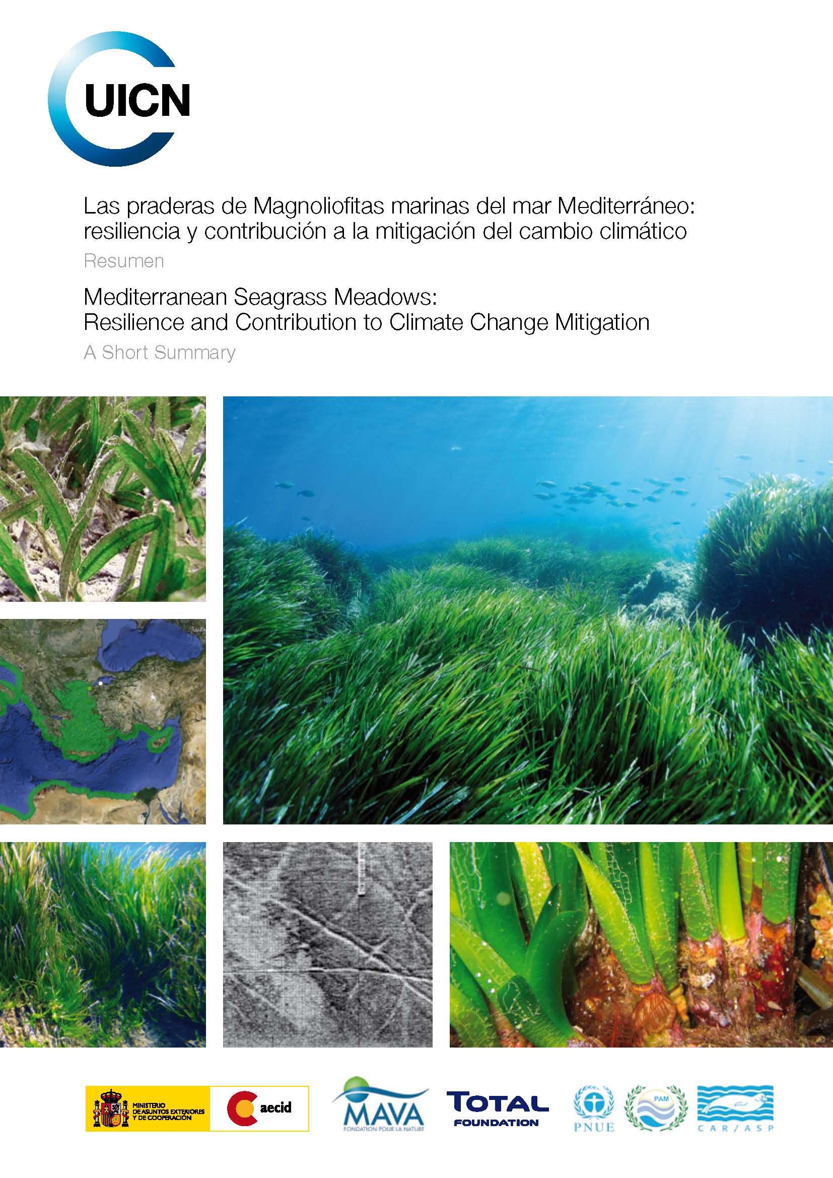 Mediterranean Seagrass Meadows : Resilience and Contribution to Climate Change Mitigation. A Short Summary.