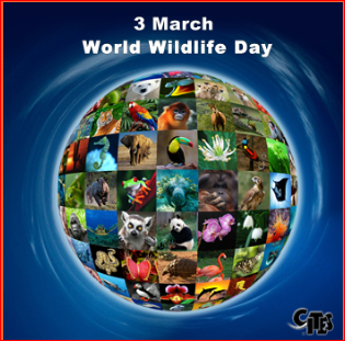 CITES World Wildlife Day