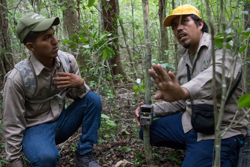 El Proyecto Protección de Recursos Naturales Selva Maya, implementado en áreas naturales protegidas del sureste de México, ha facilitado y hecho posible el desarrollo de actividades de impacto con diversos resultados para la efectividad del manejo