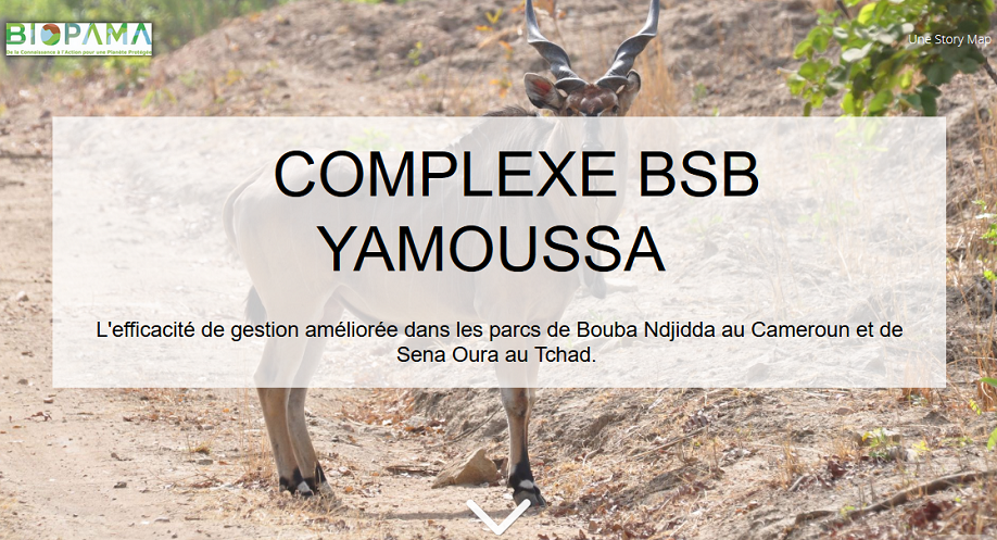 Complexe BSB Yamoussa