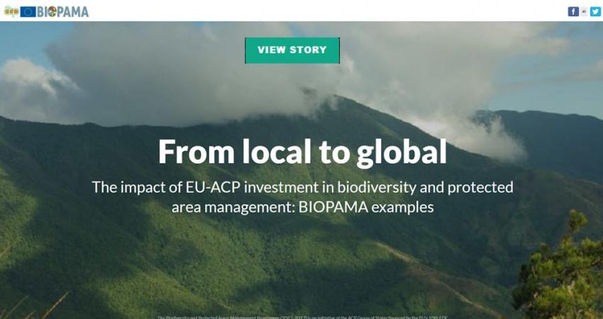 BIOPAMA: From local to global