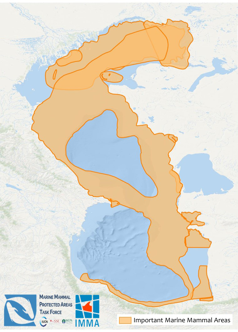 Caspian Sea Important Marine Mammal Areas (IMMAs)