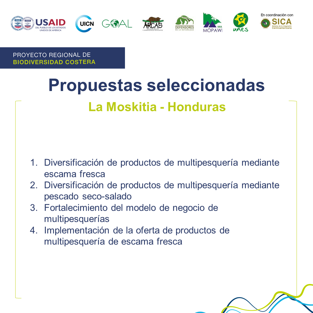 Propuestas seleccionadas en La Moskitia - Honduras