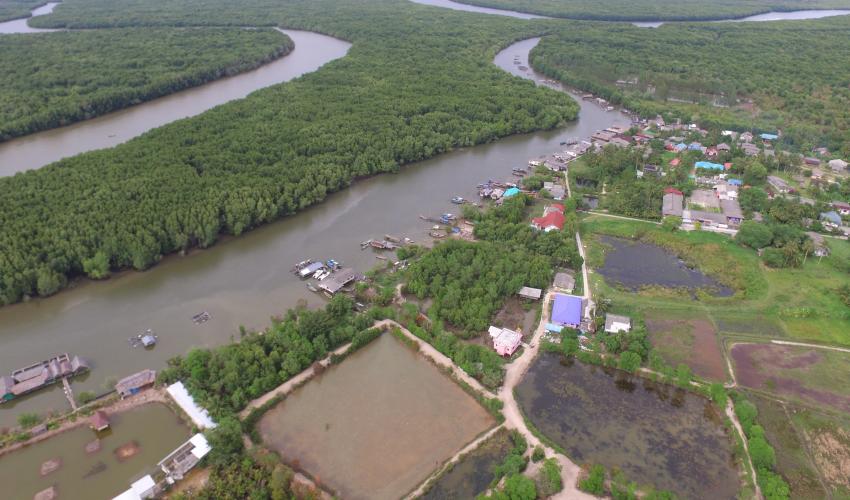 Aerial view of shrimp ponds with mangroves and canals stretching into the distance