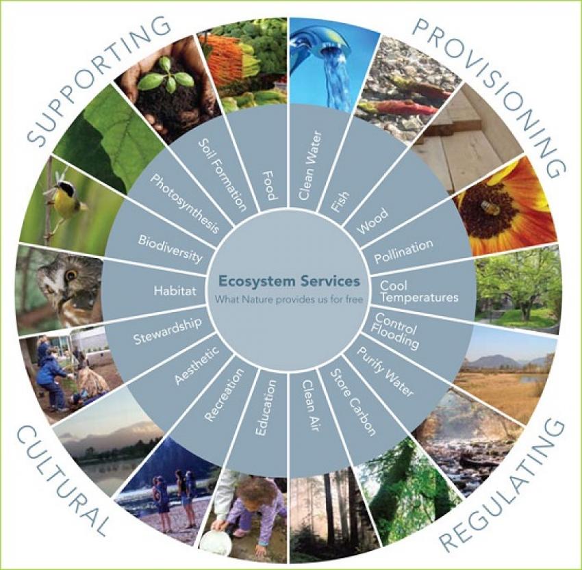 Ecosystem services diagram, source: metrovancouver.org