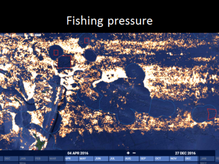 Fishing pressure - Pacific