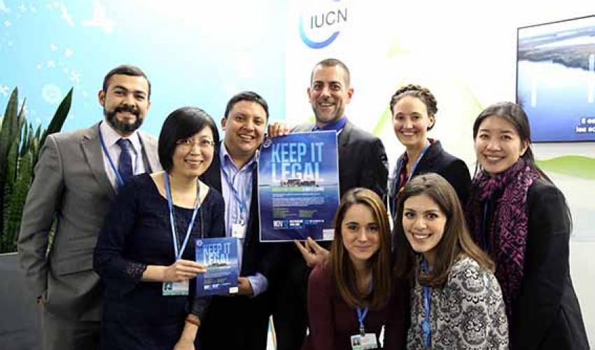 The IUCN Environmental Law Centre Team