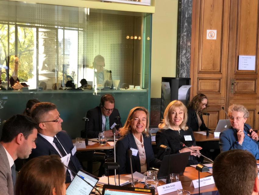 Claire Warmenbol presents the BRIDGE project at OSCE meeting, Strasbourg, November 2019