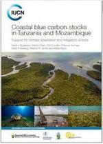 Coastal Blue Carbon stocks in Tanzania and Mozambique