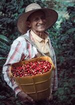 Hombre con granos de café