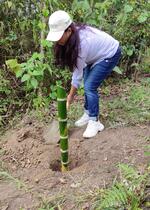 Bambutón 2022 / Programa Eba LAC 