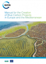 Manual for the creation of Blue Carbon projects in Europe and the Mediterranean (2021)
