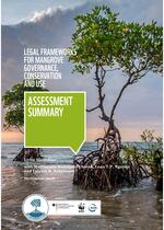 Cover_Assessment summary on mangroves