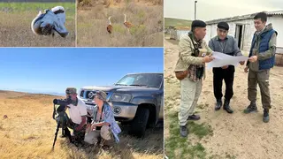 International Cooperation for Bustard Conservation