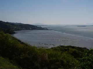 Yellow Sea tidal flats