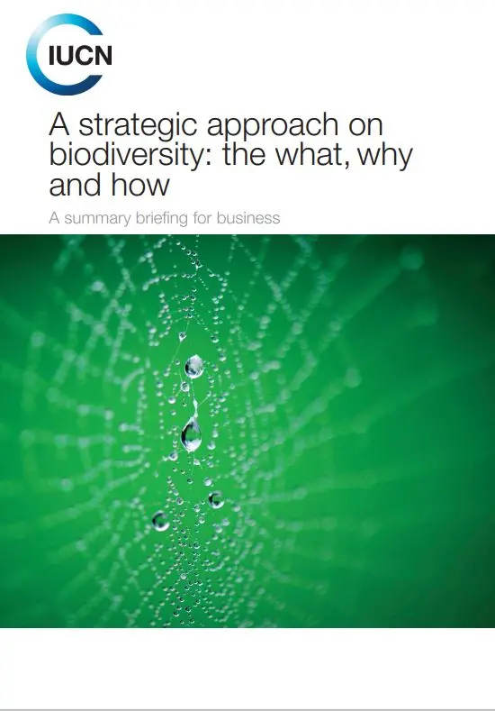 a-strategic-approach-on-biodiversity