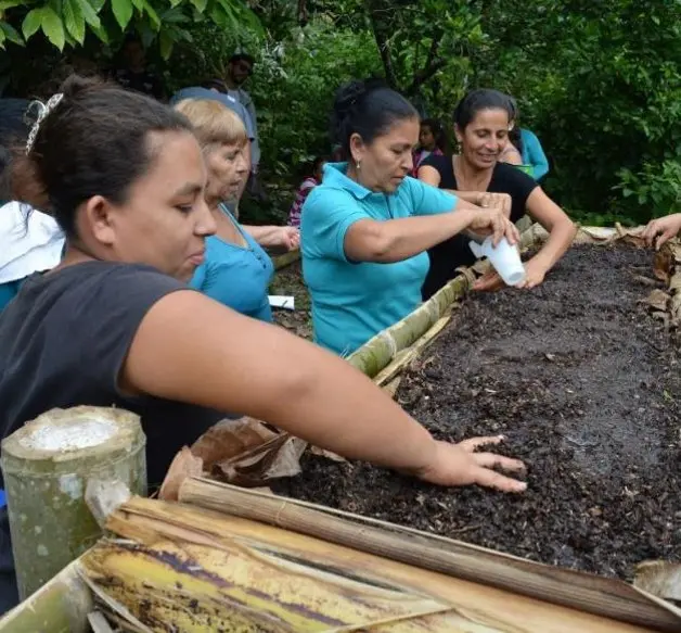 Programa AbE Ecuador