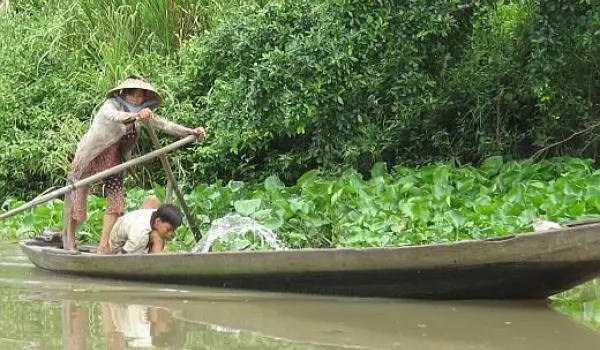 © IUCN Vietnam