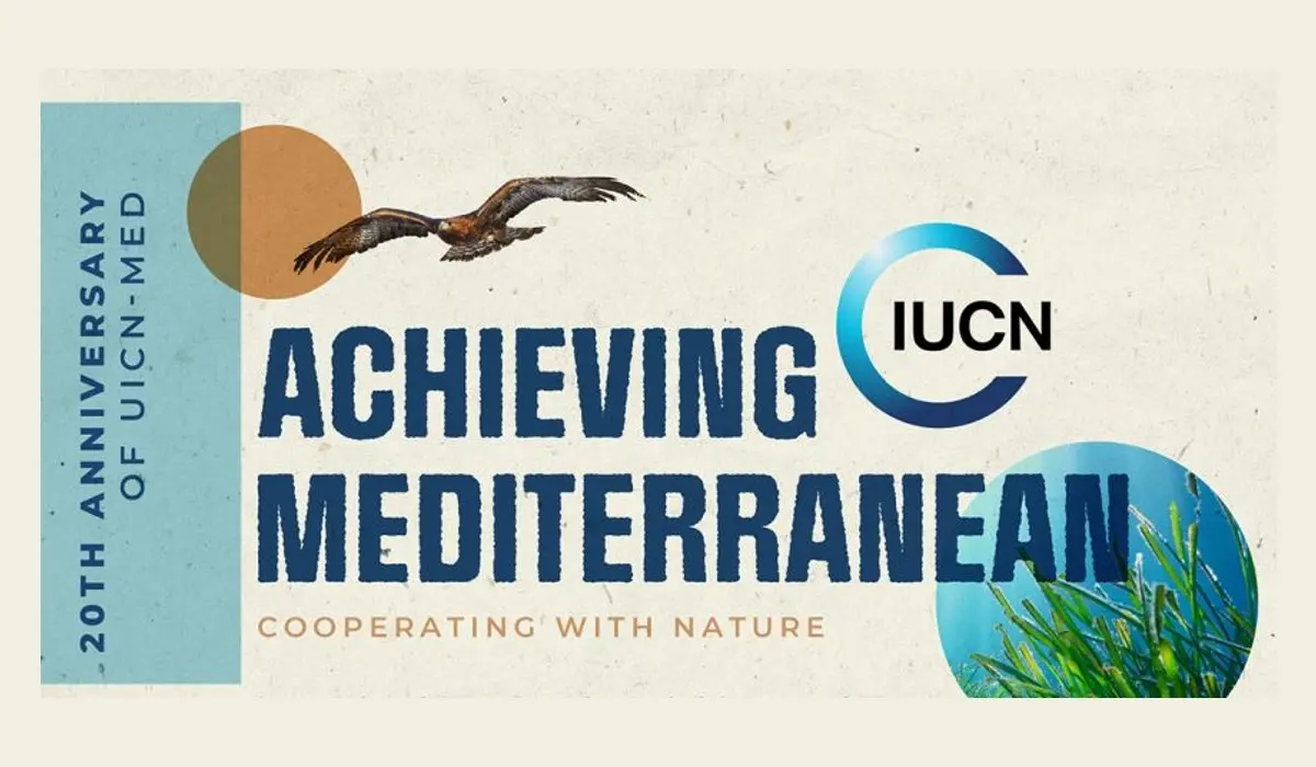 Achiving mediterranean 20 th anniversary 