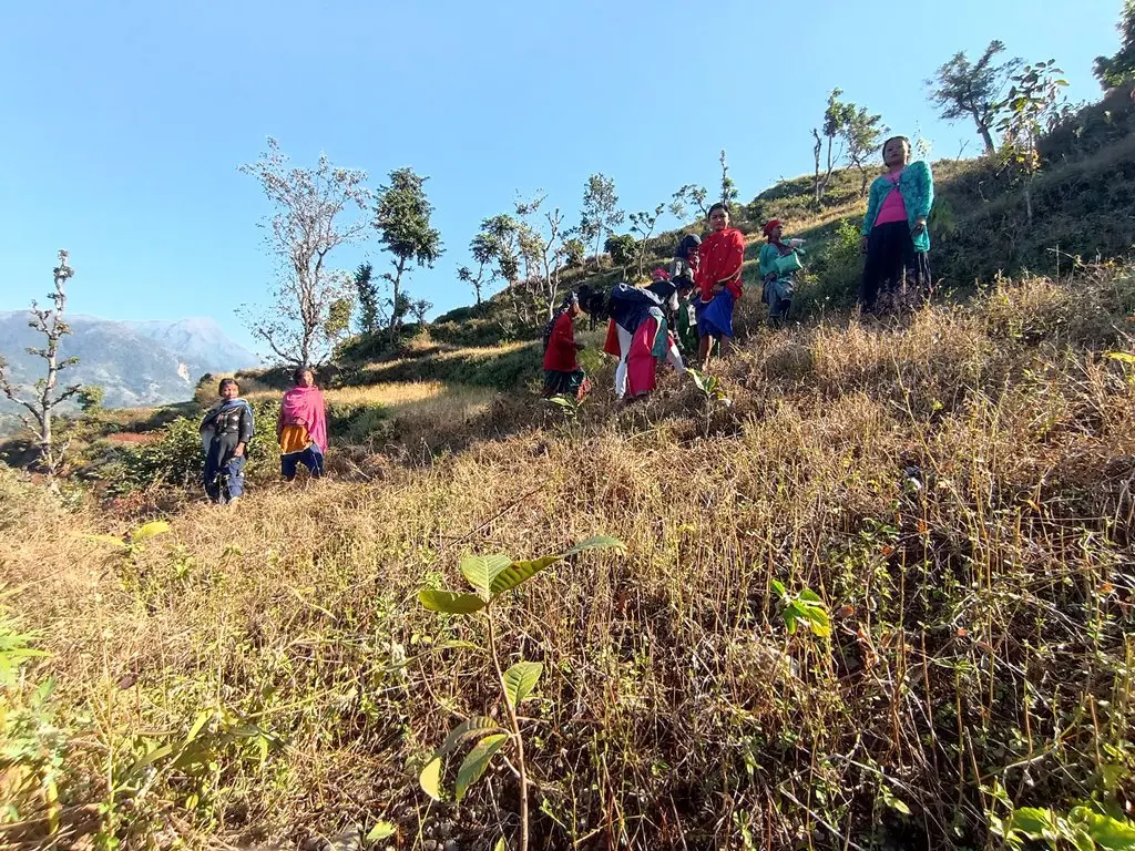 Nepal