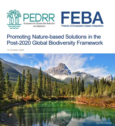 Cover of publication Promoting Nature-based Solutions in the Post-2020 Global Biodiversity Framework, overlaid over an image of a lake and mountains with pine trees.