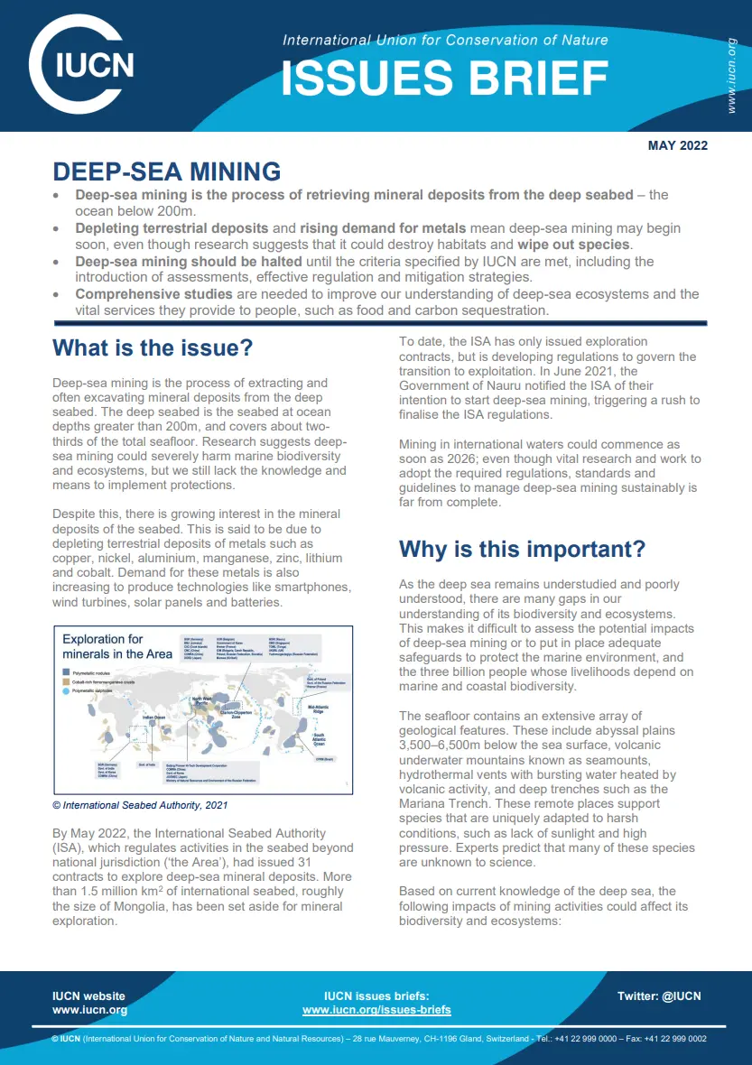 DSM Issues Brief thumbnail