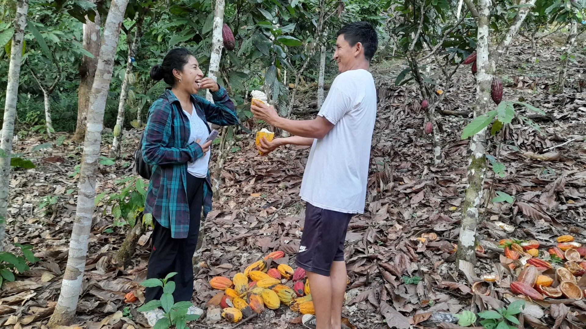 Comunidad de Pucallpillo - Río Abiseo - Degustación de cacao