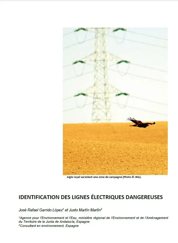 Text Identification des lignes électriques dangereuses