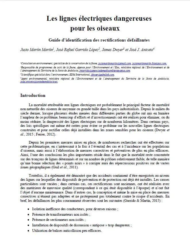 les lignes électriques dangereuses pour les oiseaux