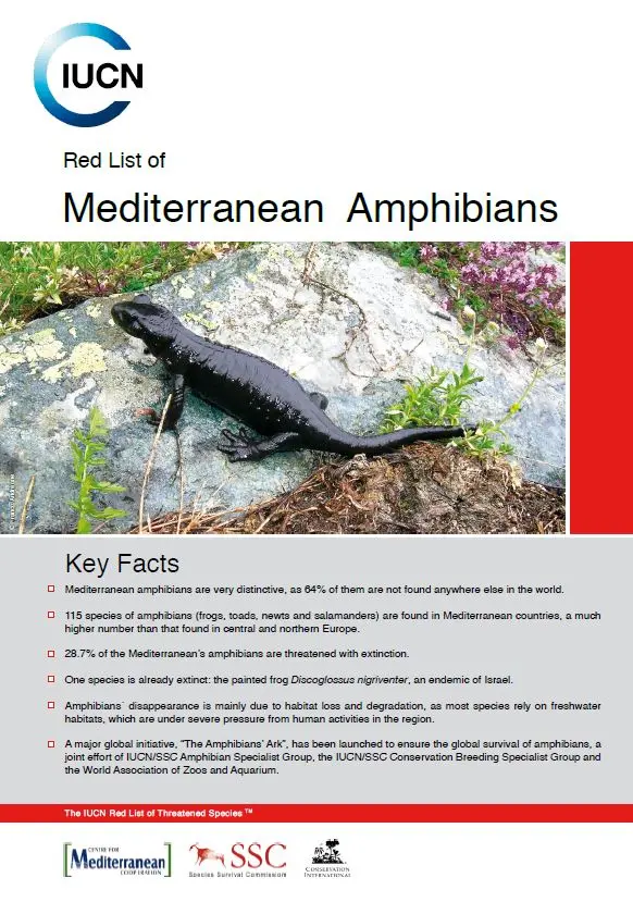 Red List of Amphibians pic