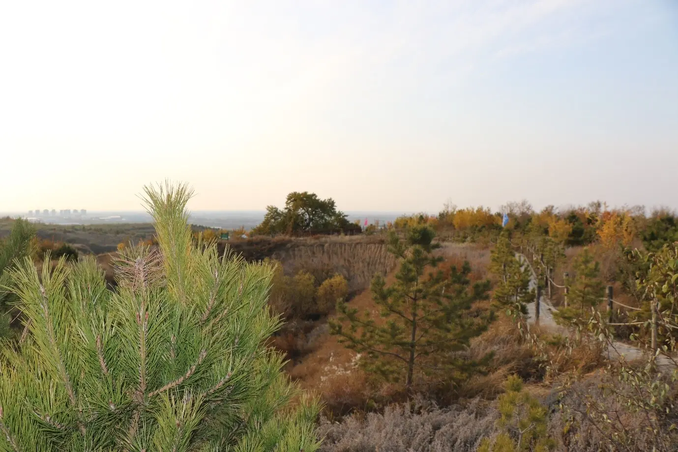 Restored land in TNC Horinger project site, Inner Mongolia, China