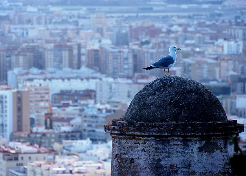 Índice de naturaleza urbana