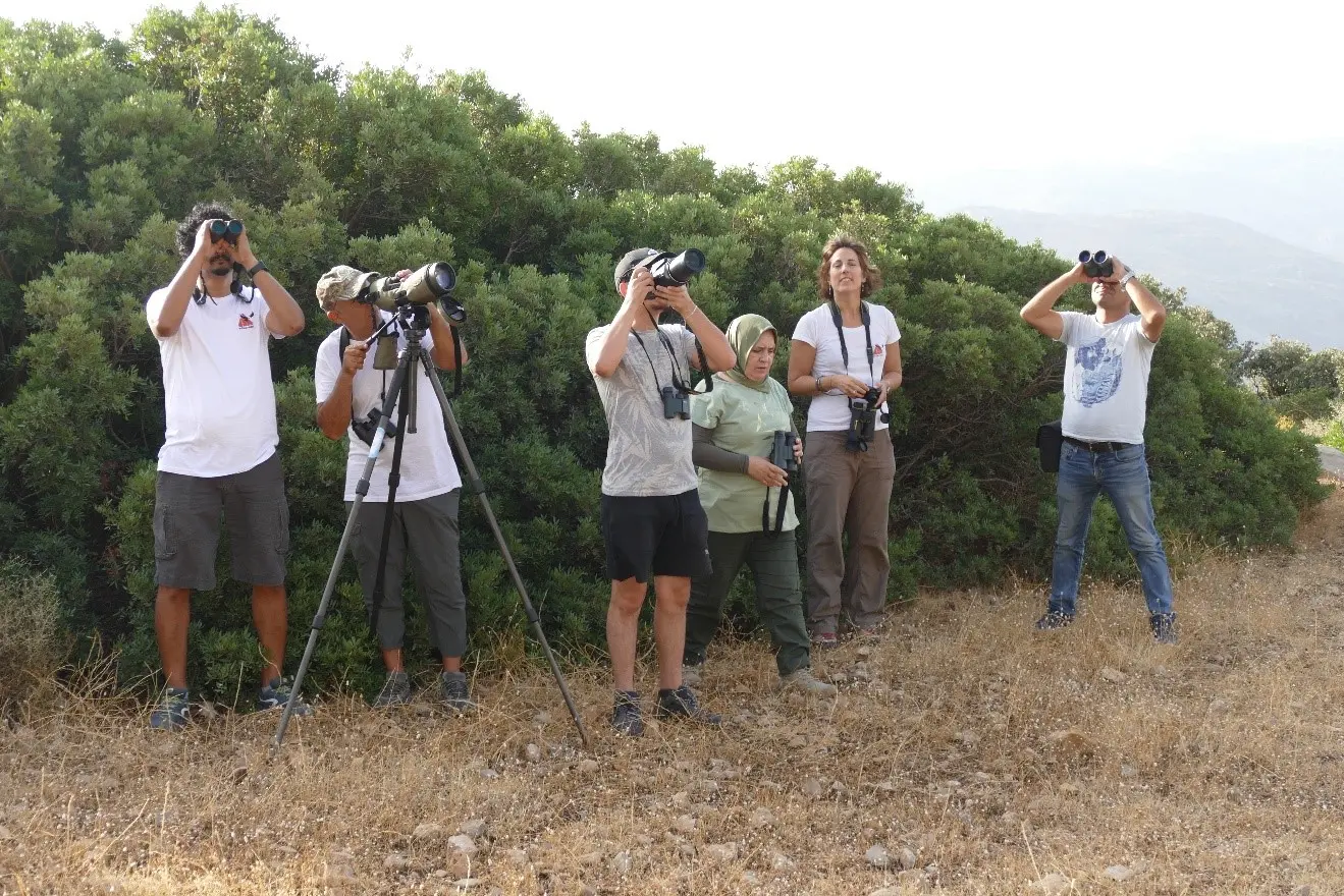 impacts des lignes électriques sur les oiseaux 1