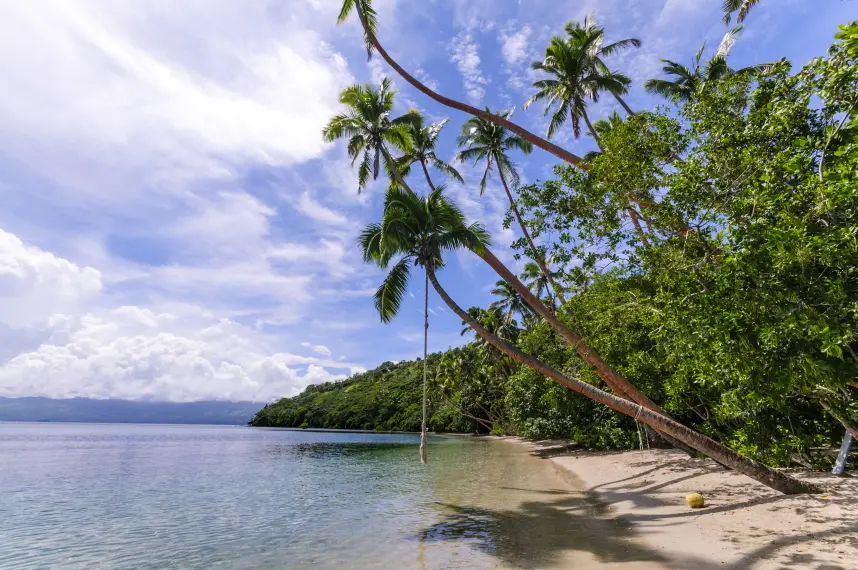 Tropical Coastal Scene