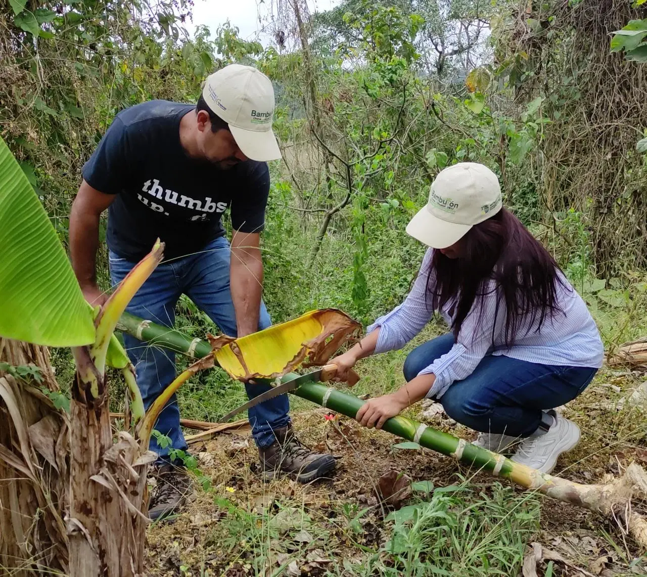 Bambutón 2022 / Programa Eba LAC 