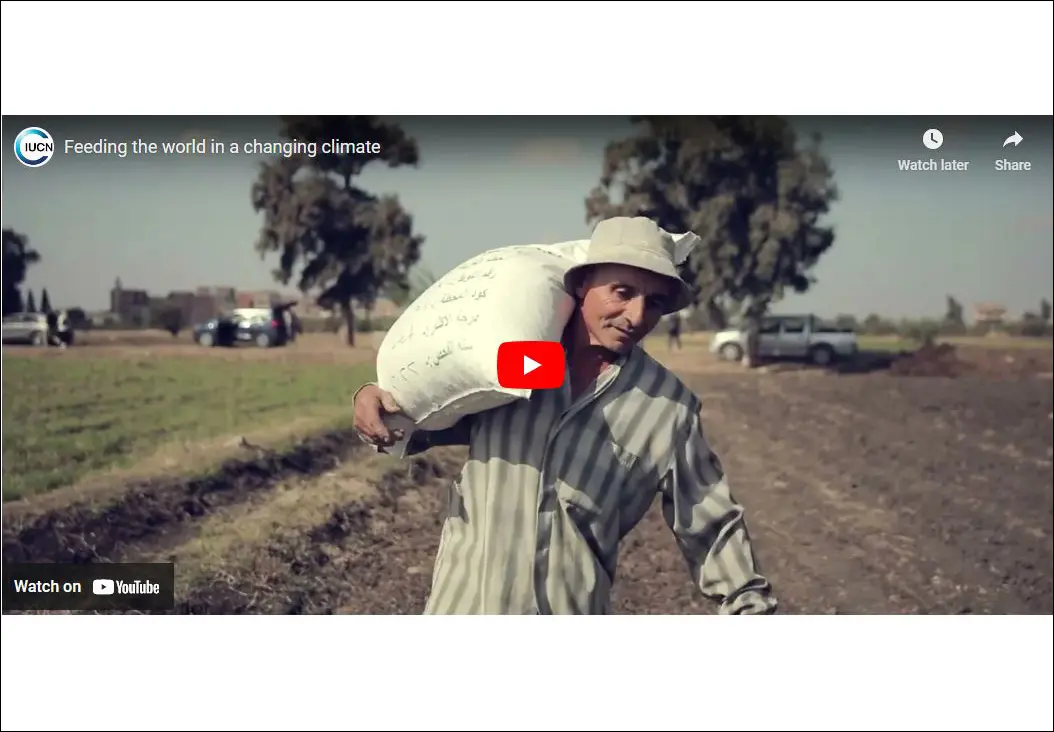 man holding sack of grain