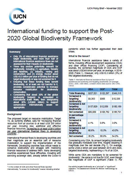 Policy brief - International financial flows