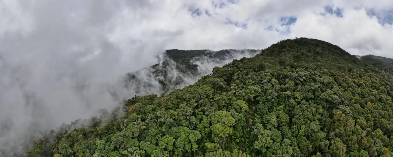 Ecosistema mesoamericano