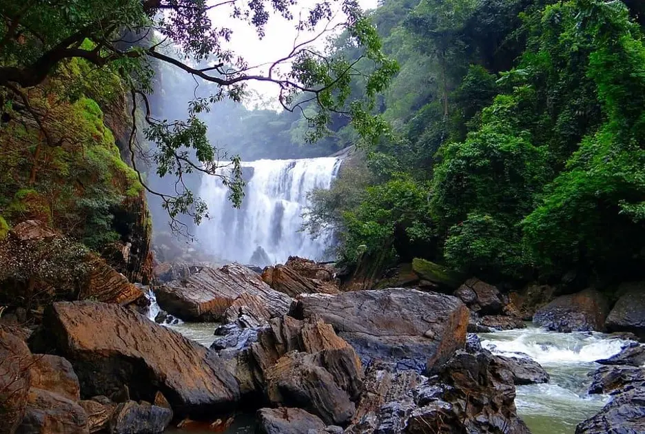 Image from native local village in Kerala, India