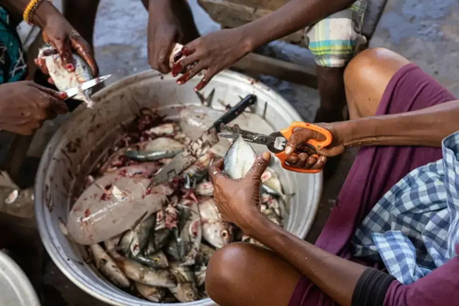 new UN e-learning course on gender and environment