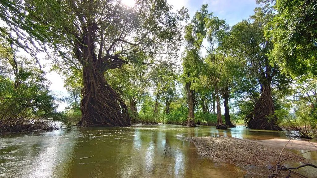 Stung Treng Ramsar Site 