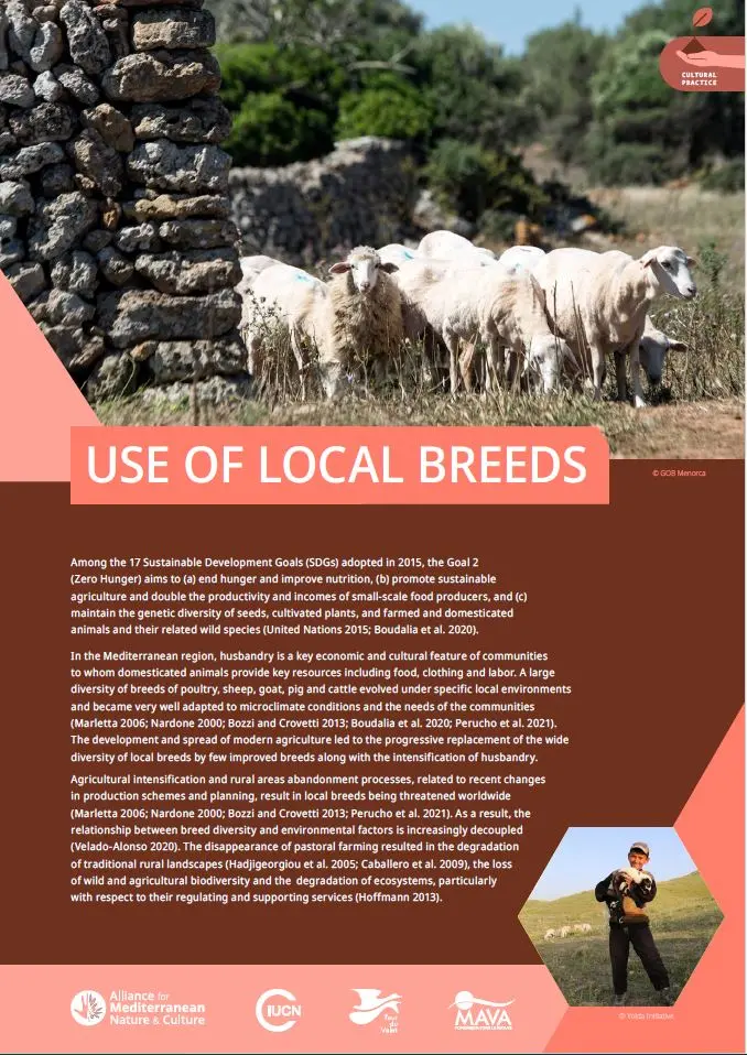 Pratice local breeds cover