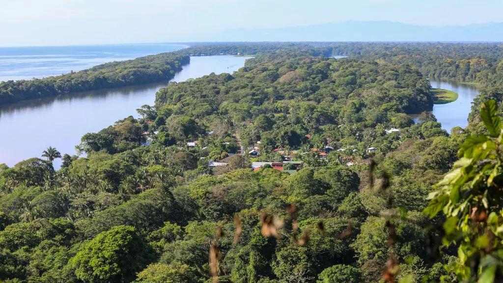 Parque Nacional Tortuguero, Costa Rica